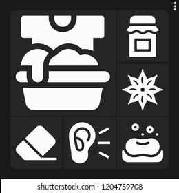 Set of 6 closeup filled icons such as anise, soap, soak, eraser, jam