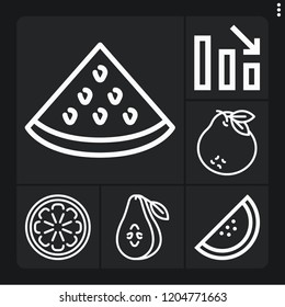 Set of 6 diet outline icons such as watermelon, orange, pear, tangerine