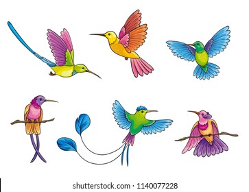Set of 6 different colorful hummingbirds. Vector illustration. EPS8