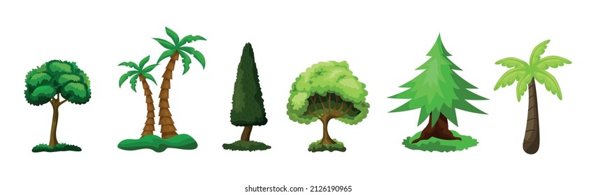 Set of 6 different trees on a white background - Vector illustration