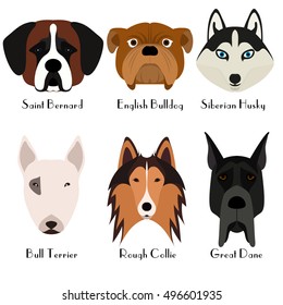 Set of 6 dog's head. Flat design. Pets. Cute doggies. Dog icon. Logo. Cartoon character. Animals. Vector illustration eps10