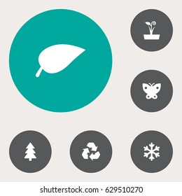 Set Of 6 Eco Icons Set.Collection Of Winter Snow, Spruce, Conservation And Other Elements.