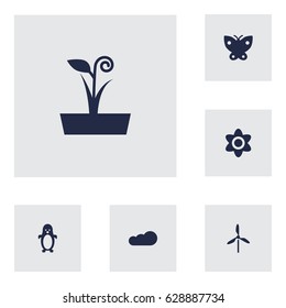 Set Of 6 Ecology Icons Set.Collection Of Moth, Polar Bird, Wind Energy And Other Elements.