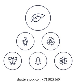 Set Of 6 Ecology Outline Icons Set.Collection Of Recycle, Butterfly, Fir Tree And Other Elements.