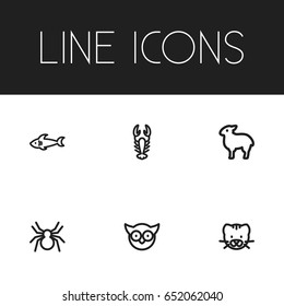 Set Of 6 Editable Animal Icons. Includes Symbols Such As Spinner, Predator Bird, Calf And More. Can Be Used For Web, Mobile, UI And Infographic Design.