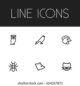Set Of 6 Editable Animal Icons. Includes Symbols Such As Spider, Hawk, Bird And More. Can Be Used For Web, Mobile, UI And Infographic Design.