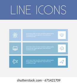 Set Of 6 Editable Animal Icons. Includes Symbols Such As Ape, Kitty, Spider And More. Can Be Used For Web, Mobile, UI And Infographic Design.
