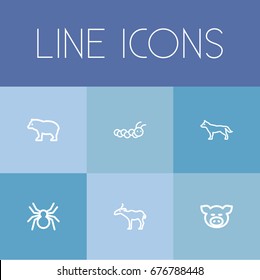 Set Of 6 Editable Animal Icons. Includes Symbols Such As Spinner, Piggy, Antelope And More. Can Be Used For Web, Mobile, UI And Infographic Design.