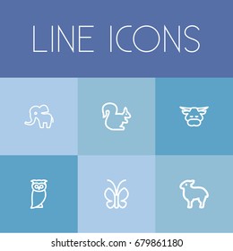 Set Of 6 Editable Animal Outline Icons. Includes Symbols Such As Butterfly, Elephant, Calf And More. Can Be Used For Web, Mobile, UI And Infographic Design.