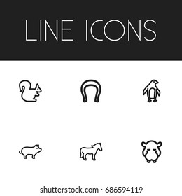 Set Of 6 Editable Animal Outline Icons. Includes Symbols Such As Horseshoe, Pig, Diver And More. Can Be Used For Web, Mobile, UI And Infographic Design.