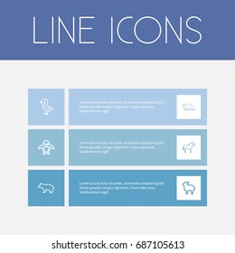 Set Of 6 Editable Animal Outline Icons. Includes Symbols Such As Penguin, Predator, Bird And More. Can Be Used For Web, Mobile, UI And Infographic Design.