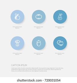 Set Of 6 Editable Cooking Outline Icons. Includes Symbols Such As Acorn, Hazelnut, Orange And More. Can Be Used For Web, Mobile, UI And Infographic Design.