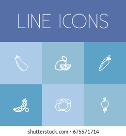 Set Of 6 Editable Cookware Icons. Includes Symbols Such As Cauliflower, Lemon, Carrot And More. Can Be Used For Web, Mobile, UI And Infographic Design.