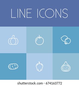 Set Of 6 Editable Food Icons. Includes Symbols Such As Vegetable, Potato, Bulgarian Bell And More. Can Be Used For Web, Mobile, UI And Infographic Design.