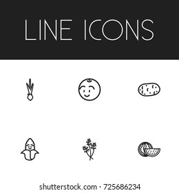 Set Of 6 Editable Food Outline Icons. Includes Symbols Such As Maize, Dill, Melon And More. Can Be Used For Web, Mobile, UI And Infographic Design.