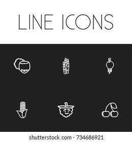 Set Of 6 Editable Kitchenware Outline Icons. Includes Symbols Such As Hazelnut, Amusing Raspberry, Corn And More. Can Be Used For Web, Mobile, UI And Infographic Design.
