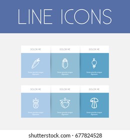 Set Of 6 Editable Vegetable Icons. Includes Symbols Such As Carrot, Fungus And More. Can Be Used For Web, Mobile, UI And Infographic Design.