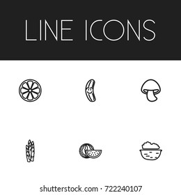 Set Of 6 Editable Vegetable Outline Icons. Includes Symbols Such As Sliced Citrus, Walnut, Asparagus And More. Can Be Used For Web, Mobile, UI And Infographic Design.