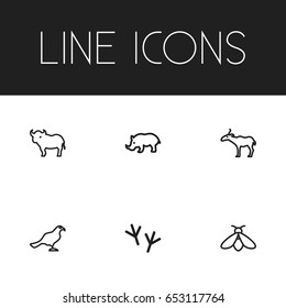 Set Of 6 Editable Zoo Icons. Includes Symbols Such As Ocean Mew, Bumblebee, Rhinoceros And More. Can Be Used For Web, Mobile, UI And Infographic Design.