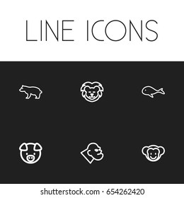 Set Of 6 Editable Zoo Icons. Includes Symbols Such As Ape, Predator, Cachalot And More. Can Be Used For Web, Mobile, UI And Infographic Design.