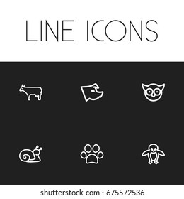 Set Of 6 Editable Zoo Icons. Includes Symbols Such As Escargot, Predator Bird, Piglet And More. Can Be Used For Web, Mobile, UI And Infographic Design.