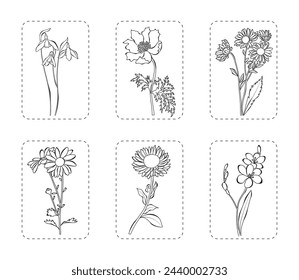 Set of 6 flowers vector illustration. Botanical flowers outline with leaves, isolated on white background. Flowers for spring, summer design or coloring book. 