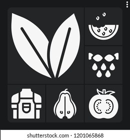 Set of 6 food filled icons such as watermelon, pear, mint, tomato, squeeze