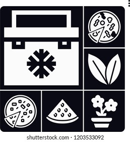 Set of 6 fresh filled icons such as pizza, watermelon, mint, fridge