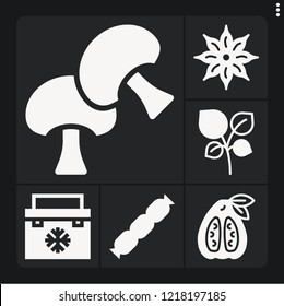 Set of 6 fresh filled icons such as oregano, mushroom, anise, guava, fridge