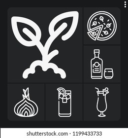 Set of 6 fresh outline icons such as cocktail, rum, sprout, shallot