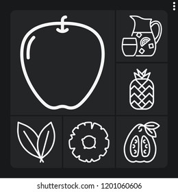 Set of 6 freshness outline icons such as sangria, apple, mint, pineapple