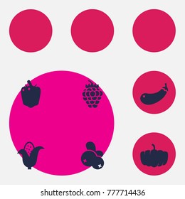 Set Of 6 Fruit Icons Set.Collection Of Razz, Bulgarian Bell, Blueberry And Other Elements.