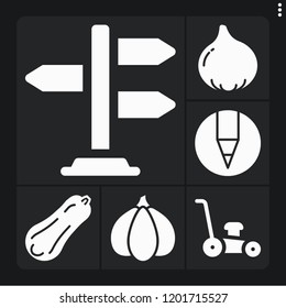 Set of 6 green filled icons such as garlic, crayon, butternut squash, fig, lawn mower