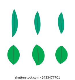 Set of 6 green Leaf simple icon illustration. Cartoon style elements for web or product design.