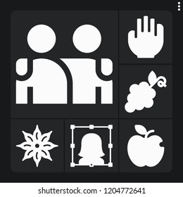 Set of 6 group filled icons such as user, anise, hand, apple, grapes