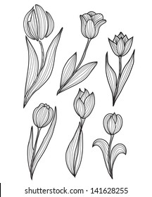 set of 6 hand drawn decorative tulips, design elements