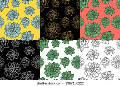 set of 6 Hand drawn doodle style seamless pattern with common houseleek, Sempervivum tectorum succulents. white background. stock vector illustration