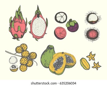 Set of 6 hand drawn tropical exotic fruits. Colorful vector illustration