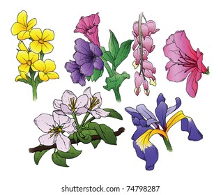 A set of 6 hand-drawn flowers. Vector.