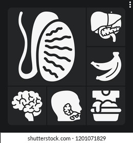 Set of 6 health filled icons such as salivary glands, brain, liver, testis, bananas