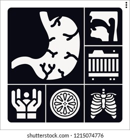 Set of 6 health filled icons such as stomach, pharynx, sternum, lemon, radiator