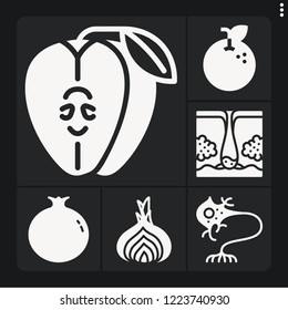 Set of 6 health filled icons such as dermis, neuron, shallot, apple, pomegranate