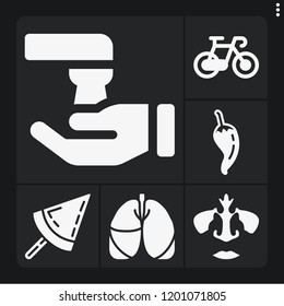 Set of 6 healthy filled icons such as nose, lungs, popsicle, chili pepper, wash
