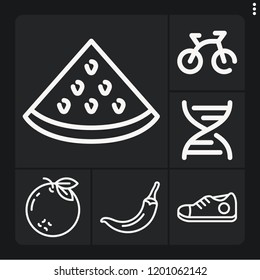 Set of 6 healthy outline icons such as bike, gmo, sneaker, watermelon, chili pepper