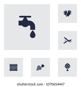 Set of 6 household icons set. Collection of grape, scissors, water supply and other elements.