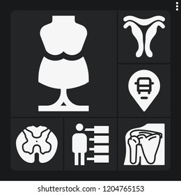 Set of 6 human filled icons such as uterus, spinal cord, shoulder, placeholder, mannequin