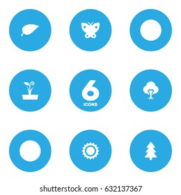 Set Of 6  Icons Set.Collection Of Solar, Flowerpot, Tree And Other Elements.