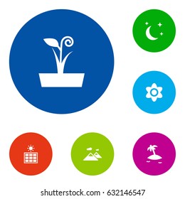 Set Of 6 Icons.Collection Of Pinnacle, Bloom, Flowerpot And Other Elements.