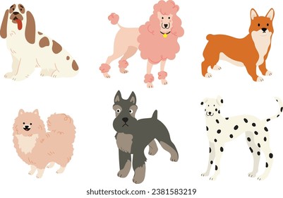 Set 6 Isolated Dogs Poodle Corgi Dalmatian Schnauzer Pomeranian Basset Dog Breeds Spaniel White Background