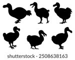 Set of 6 items dodo animal silhouette vector illustration